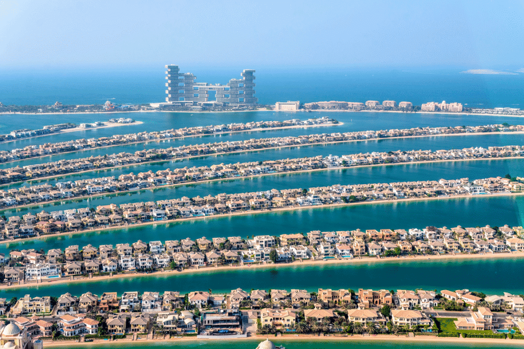 The View At The Palm