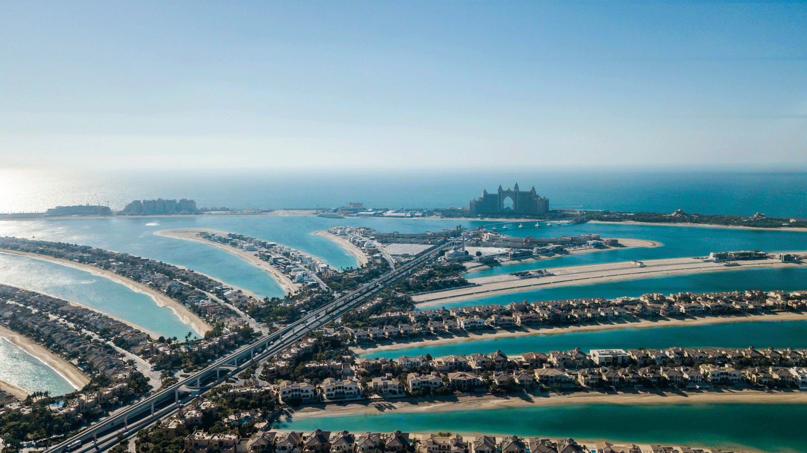 The View At The Palm