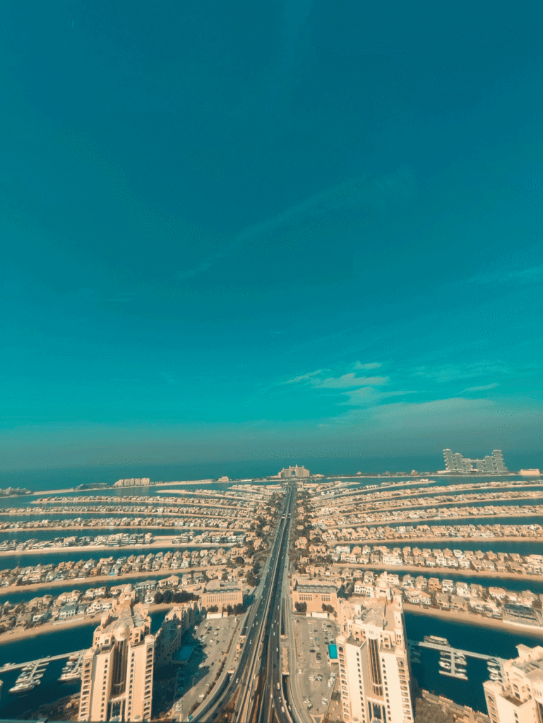 The View At the Palm avis