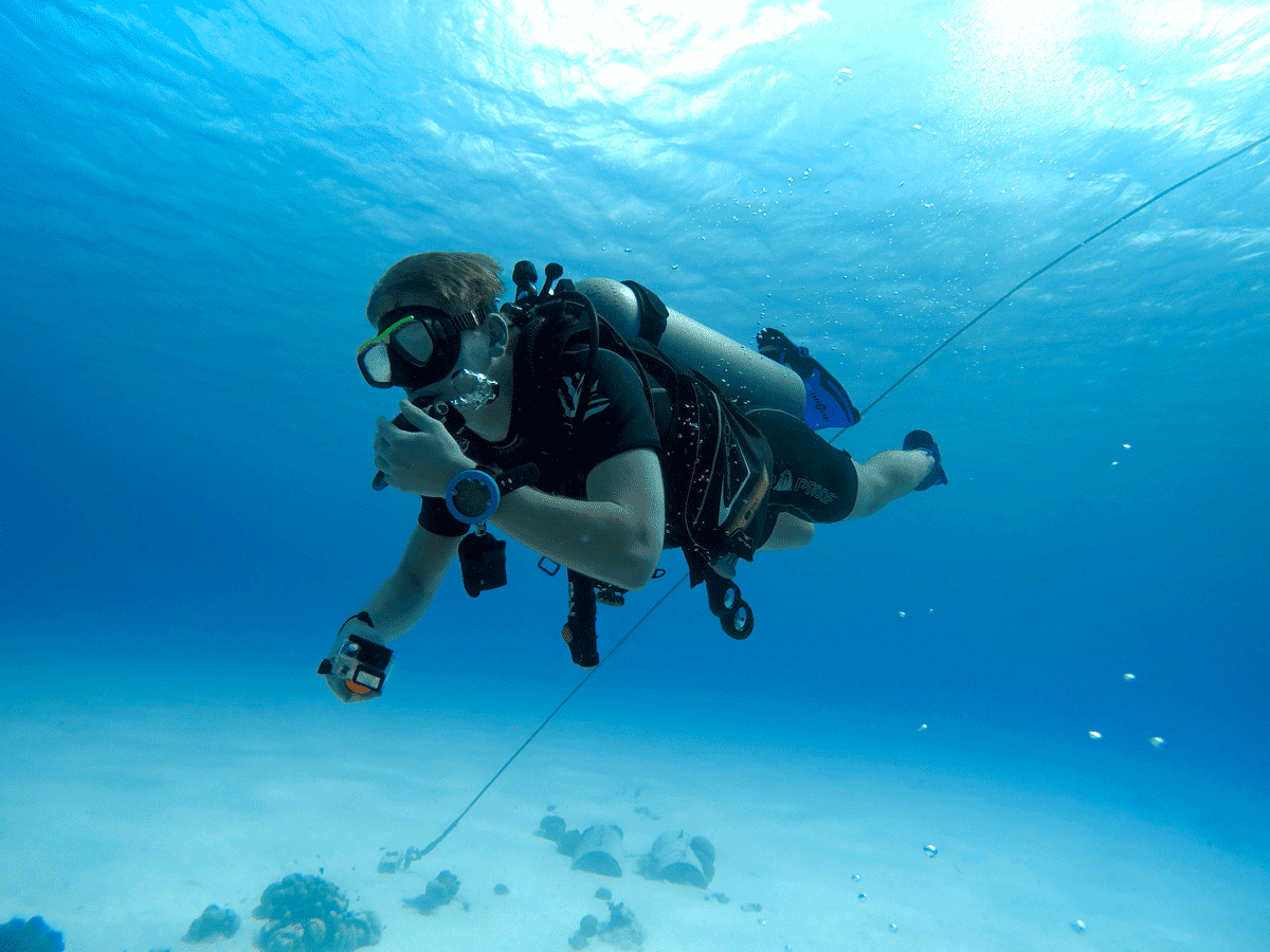 Plongée en mer Dubaï