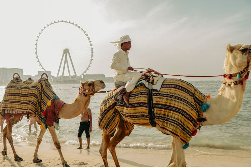Dubaï en janvier : ambiance et activités d'hiver