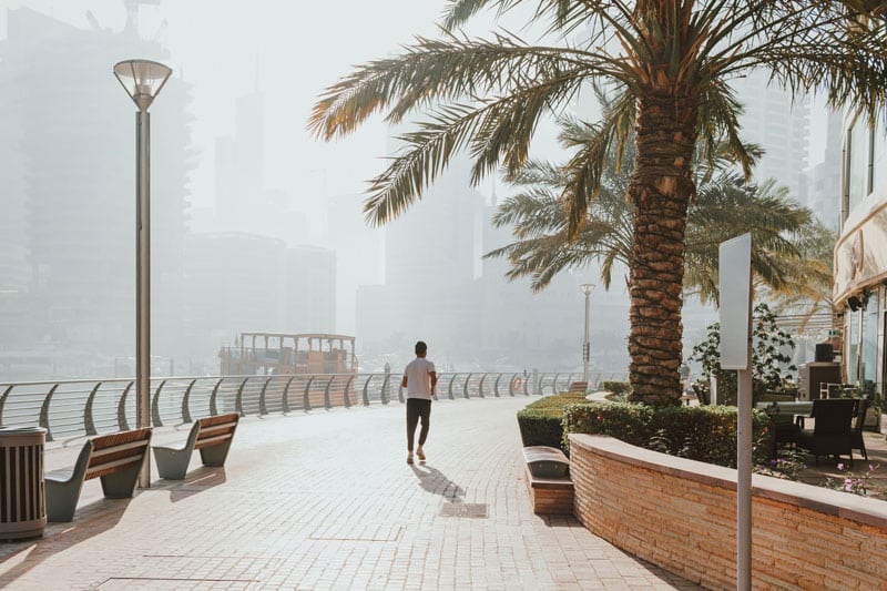 Que faire à Dubaï en janvier : désert, plage et parcs
